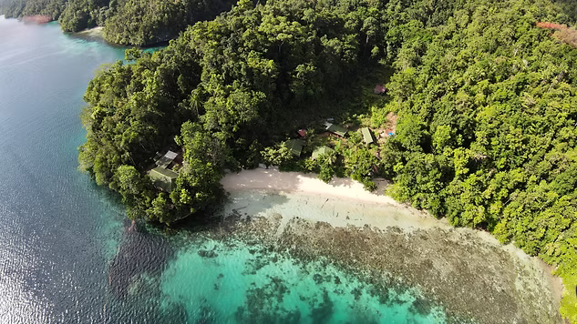 Raja Ampat Guide: Anreise, Kosten & die besten Schnorchel-Spots im „letzten Paradies“ - DOMEMARE