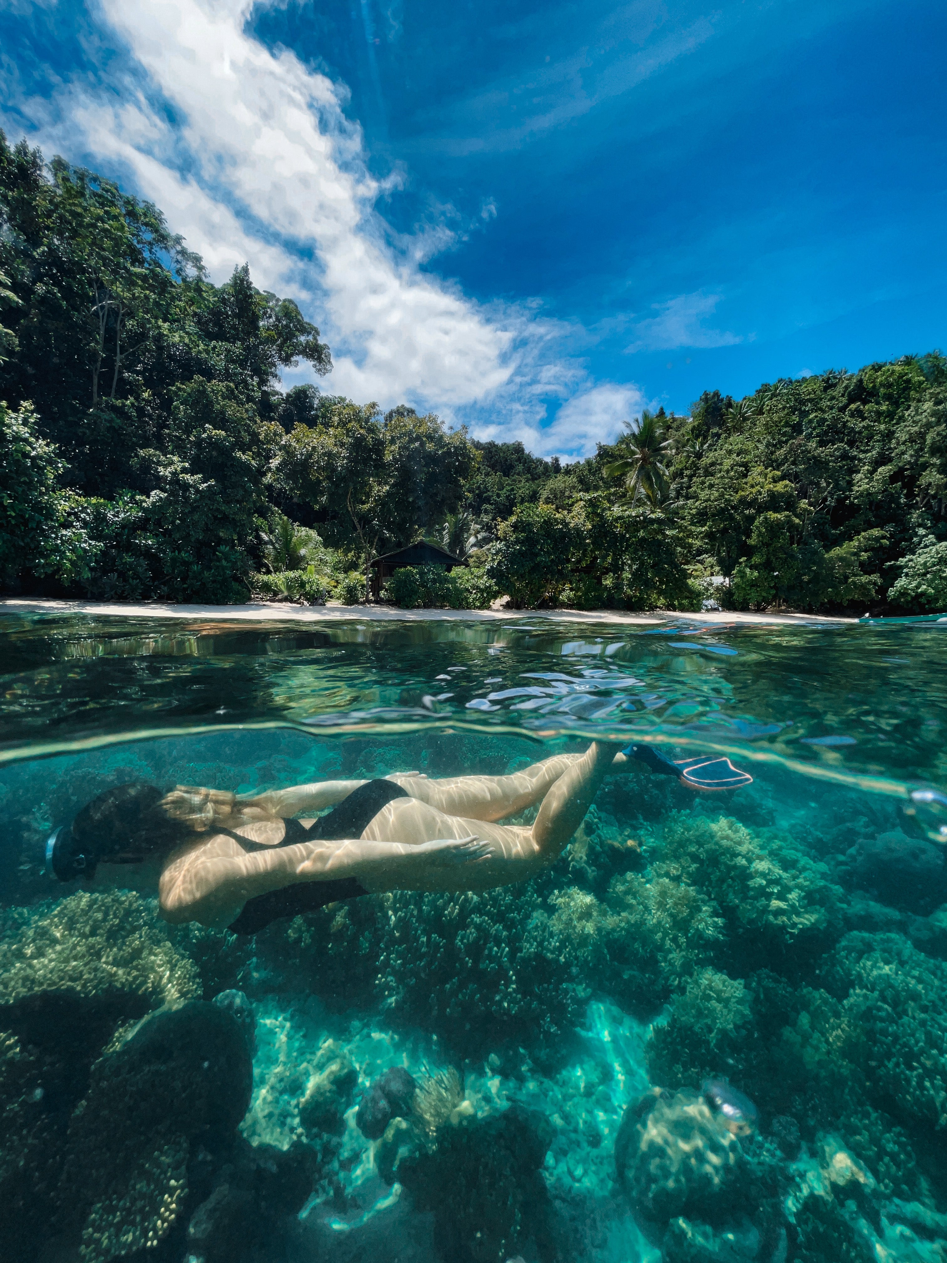 Crystal clear water splitshots, woman diving over corall reef in raja ampat. Indoesia. tropical forest in the background